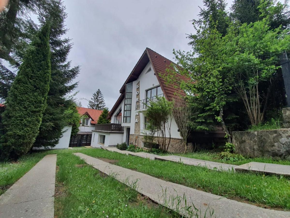 Vila Sorina Poiana Brasov Luaran gambar
